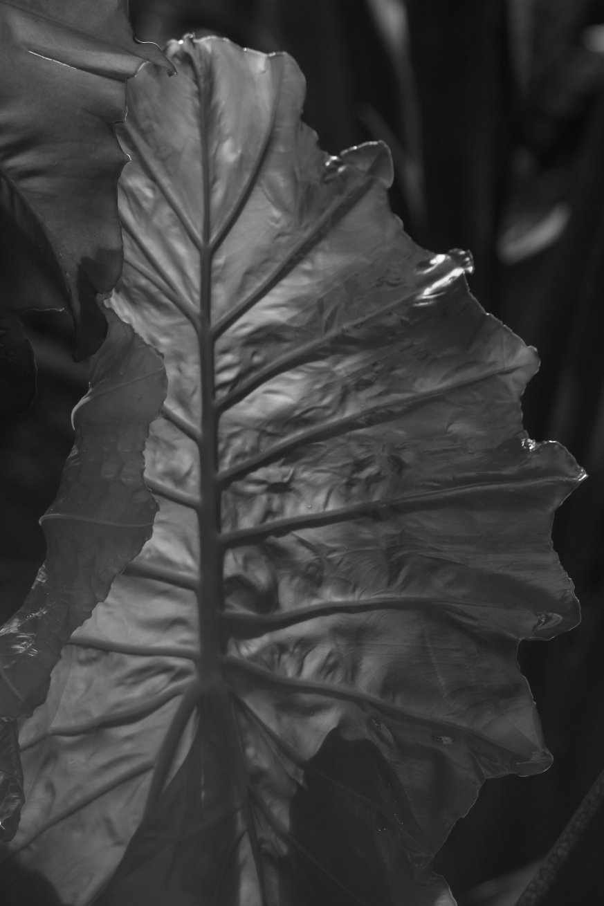 2014 11 14 HTP 000002924